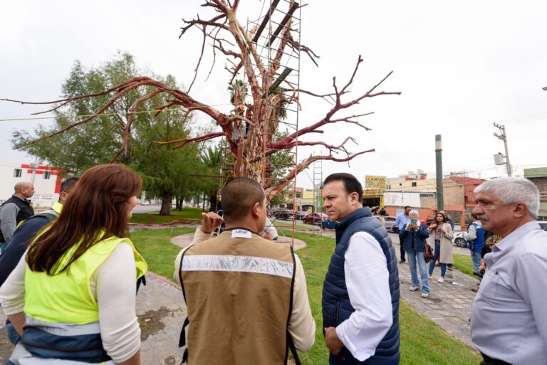 Tras varios años de olvido, reconstruye Esteban Fuentes Danzarinas y Árbol de la Vida