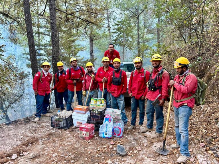 INCENDIOS FORESTALES SOFOCADOS EN UN 70 POR CIENTO.