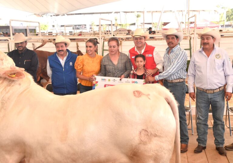 Continuar con exportación de ganado, prioridad del Gobierno del Estado; autoridades y productores se preparan para revisiones de animales