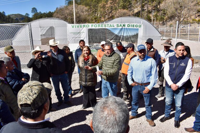 Durango es ejemplo nacional en manejo forestal y comercialización de bonos de carbono