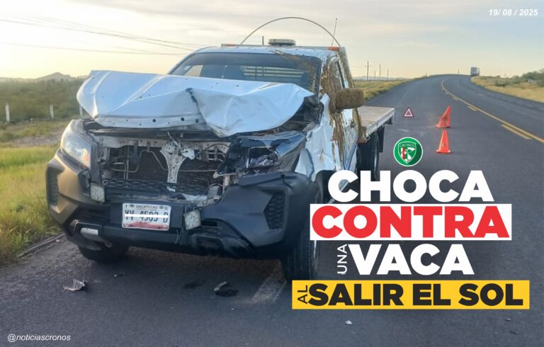 Apenas salía el sol y choca contra una vaca